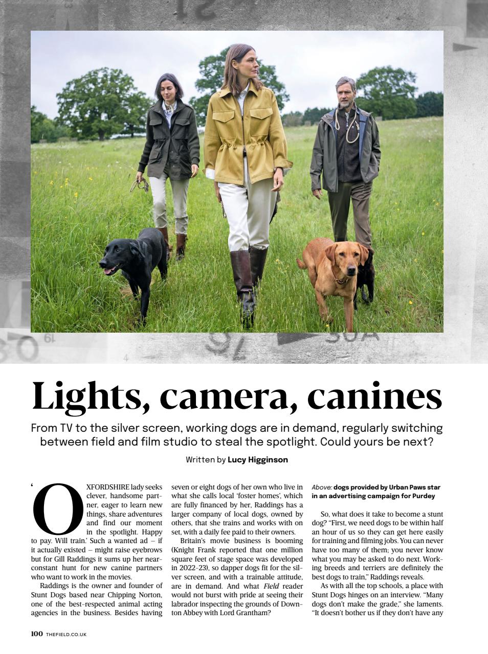 The Field Preview Pages