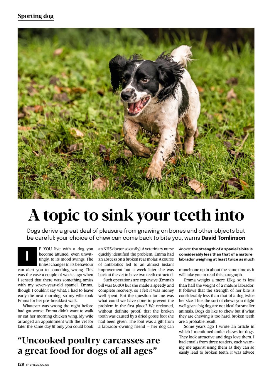 The Field Preview Pages