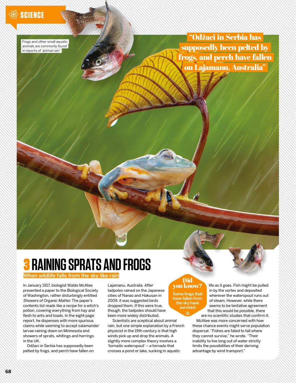 How It Works Preview Pages