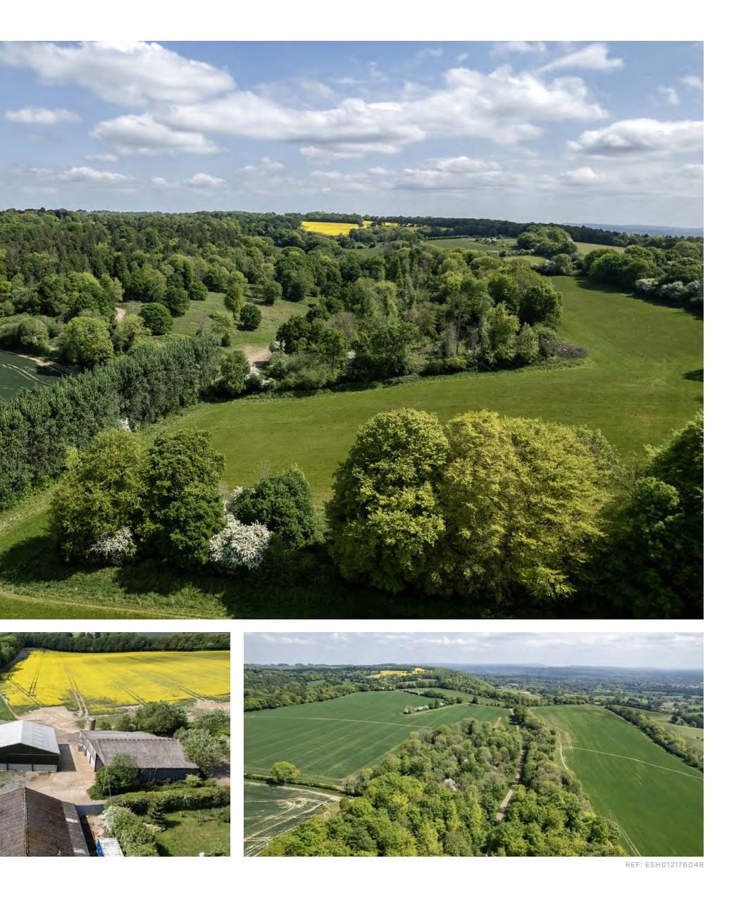 Fieldsports Journal Preview Pages