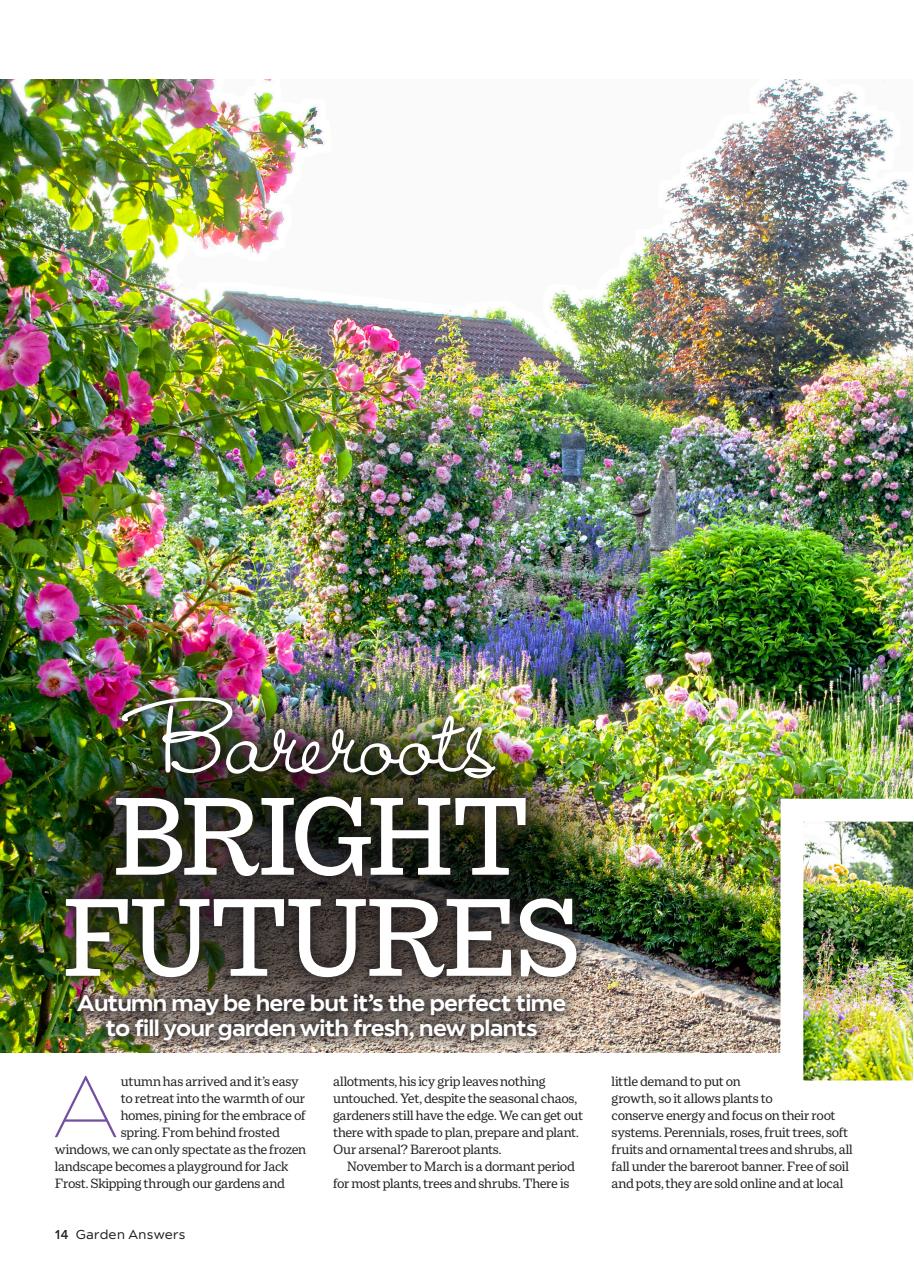 Garden Answers Preview Pages