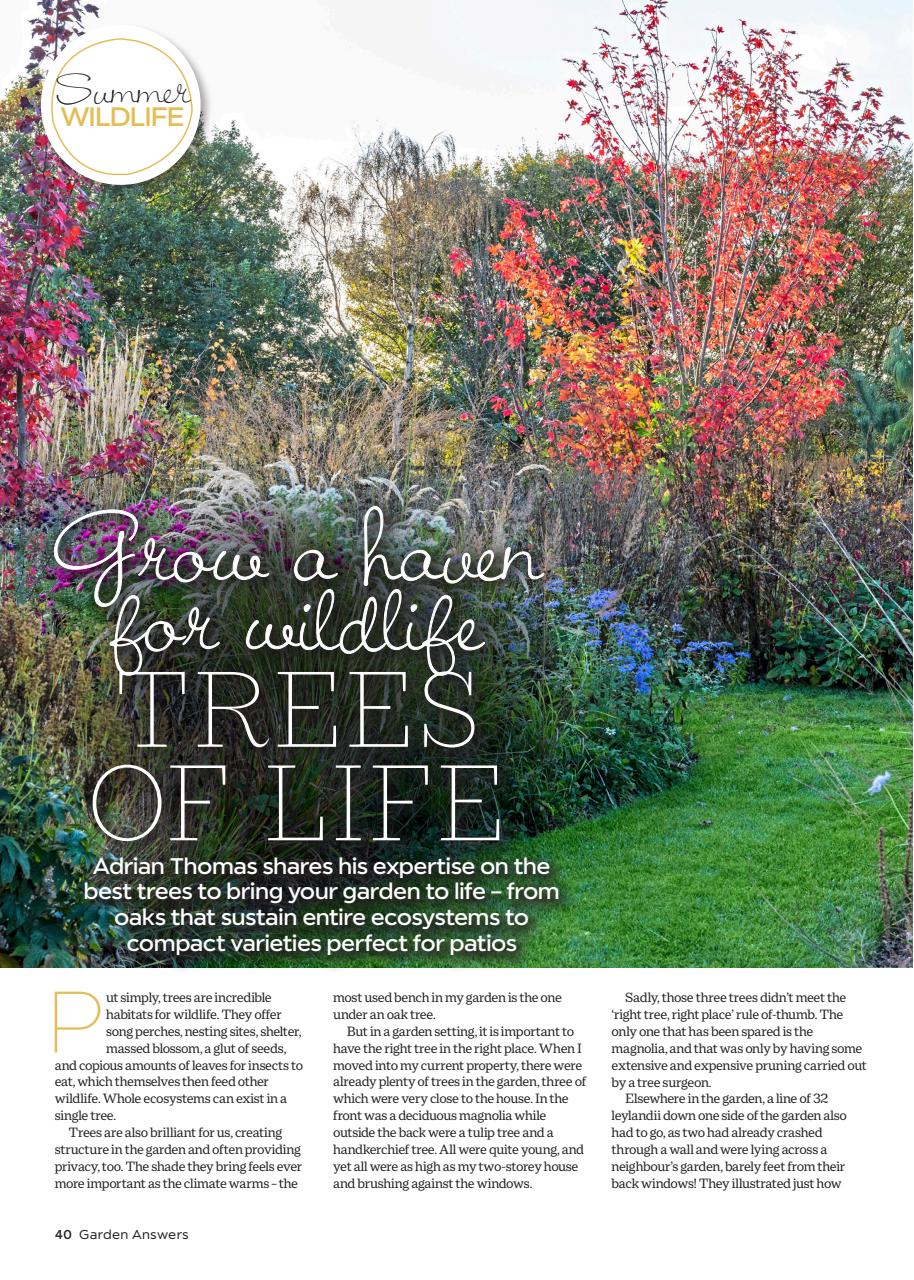 Garden Answers Preview Pages