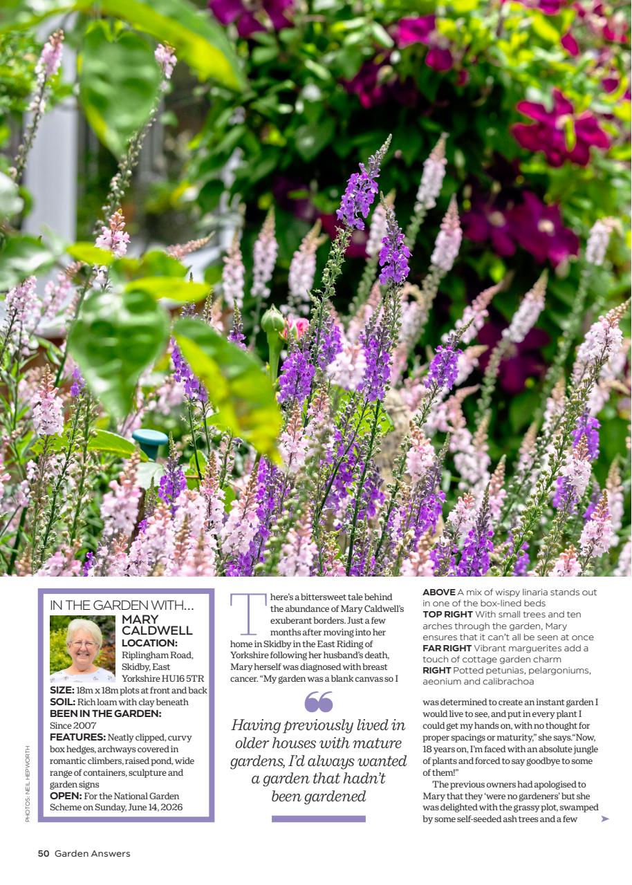 Garden Answers Preview Pages