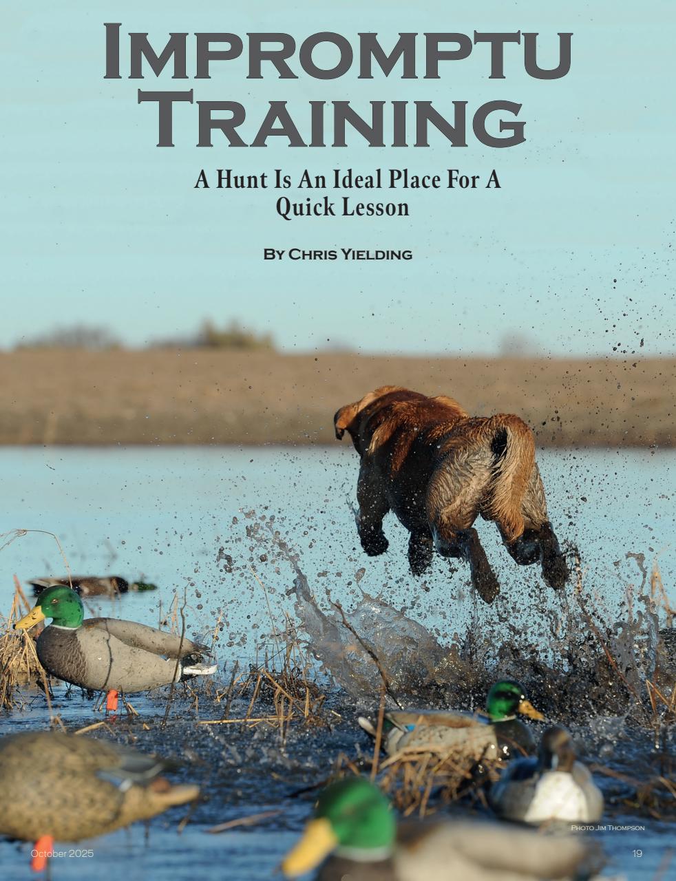 American Waterfowler Preview Pages