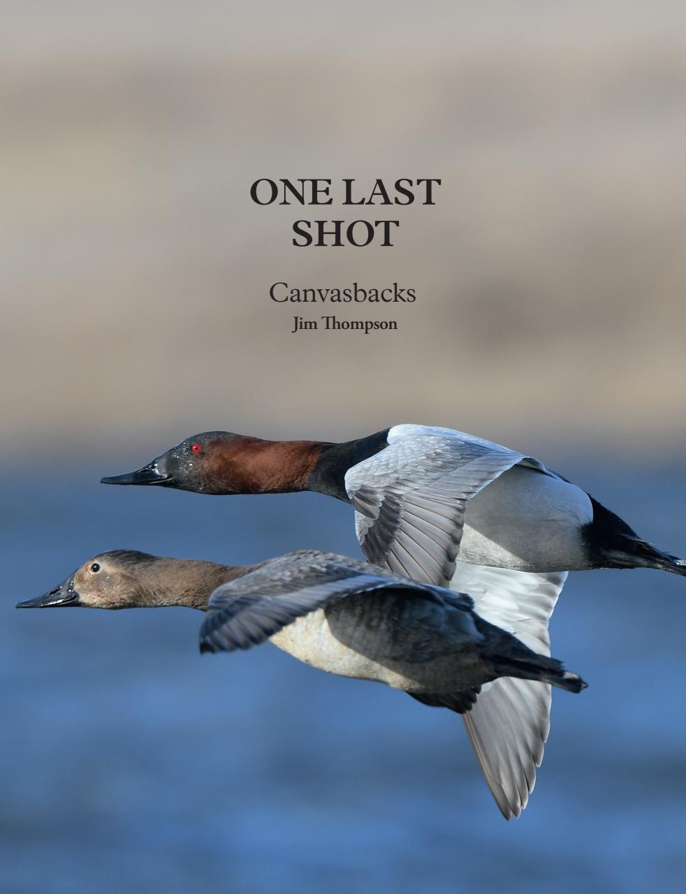 American Waterfowler Preview Pages