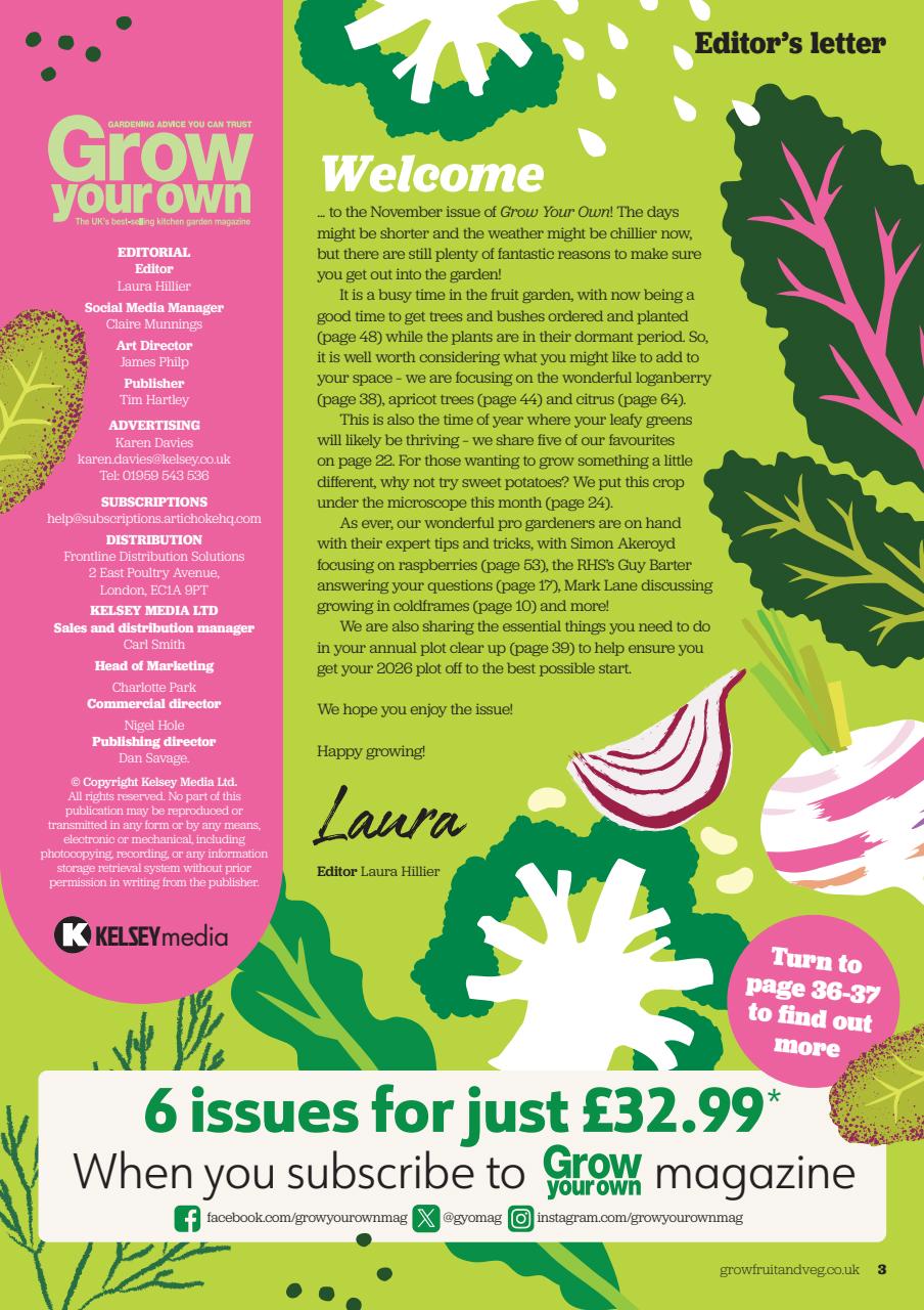 Grow Your Own Preview Pages