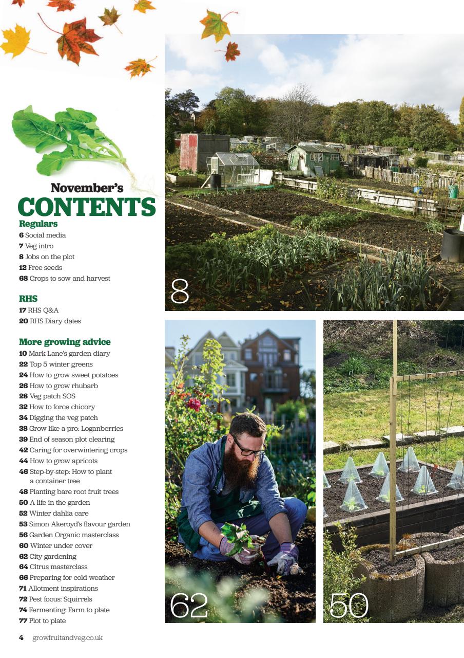 Grow Your Own Preview Pages