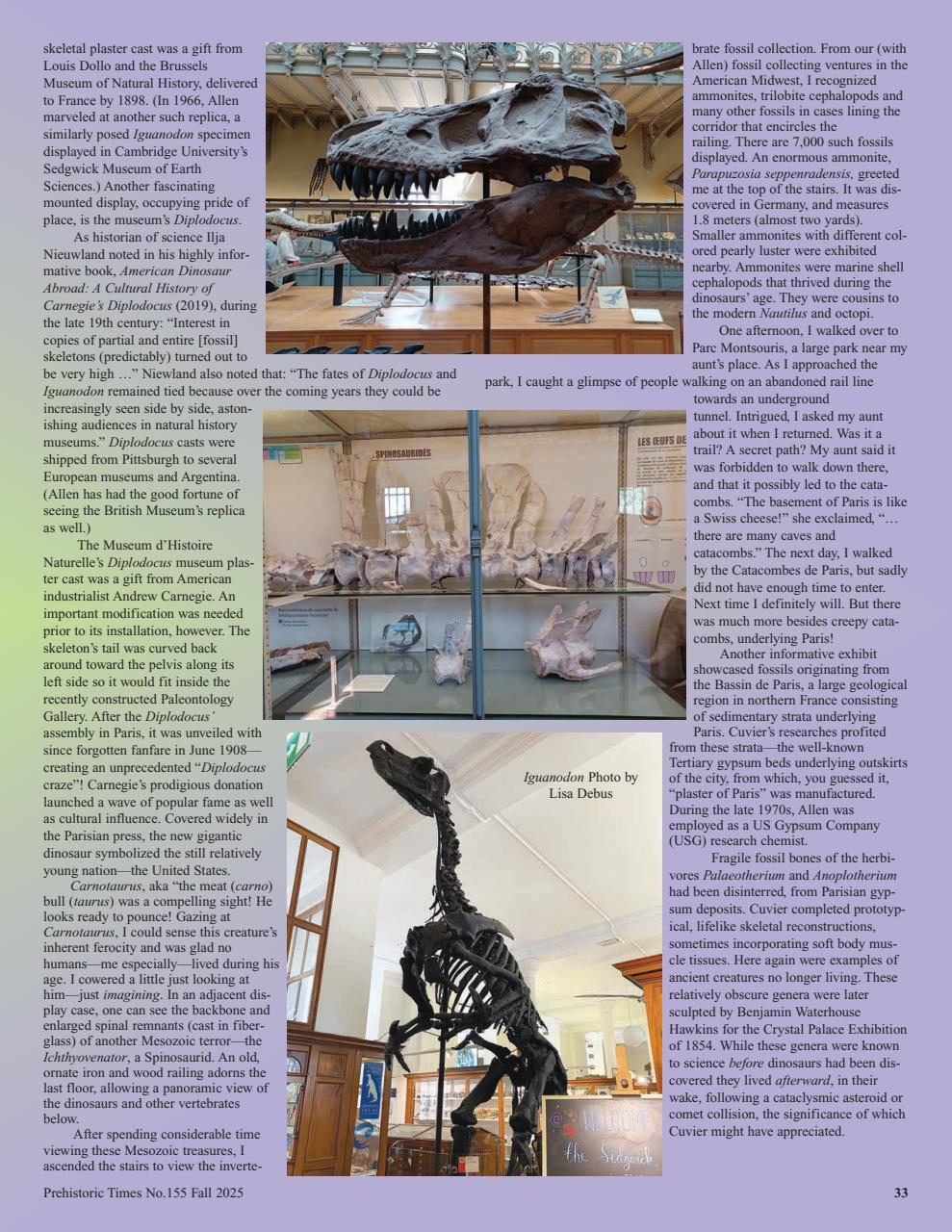 Prehistoric Times Preview Pages