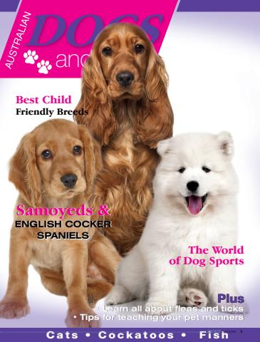 Dogs and Pets issue Dogs & Pets