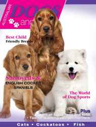 Dogs and Pets Discounts