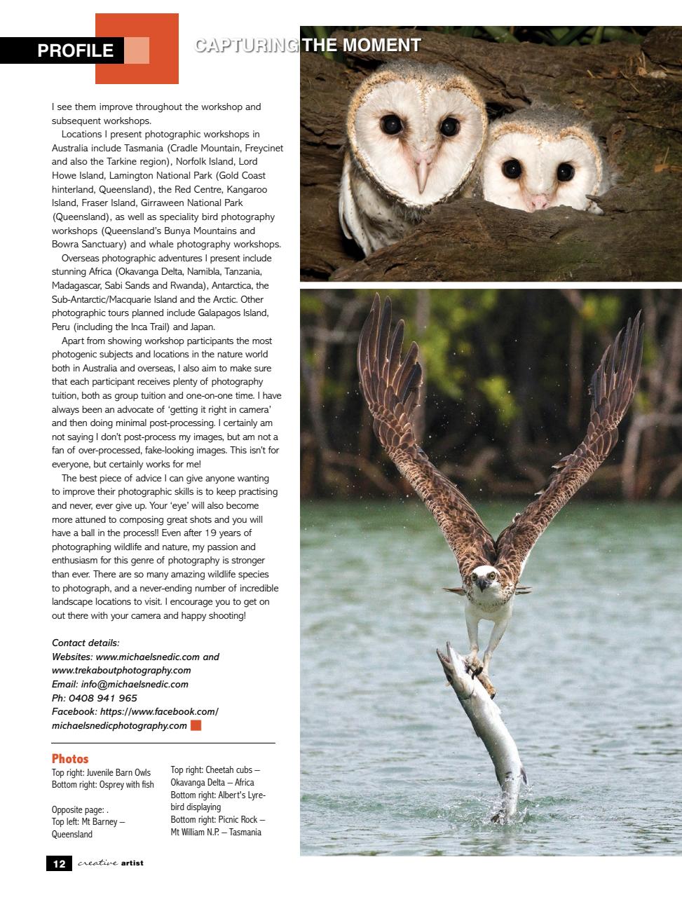 Creative Artist Preview Pages