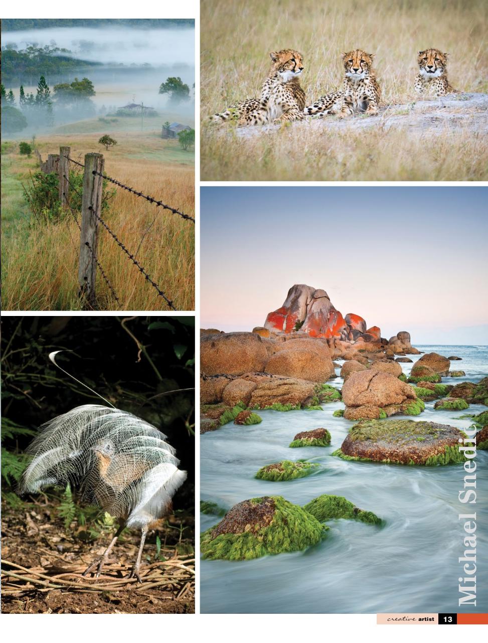 Creative Artist Preview Pages