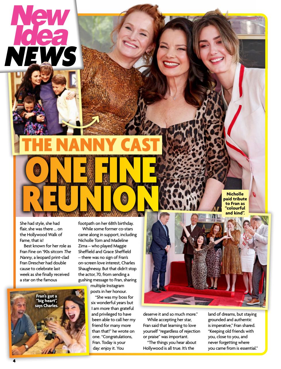 New Idea Preview Pages