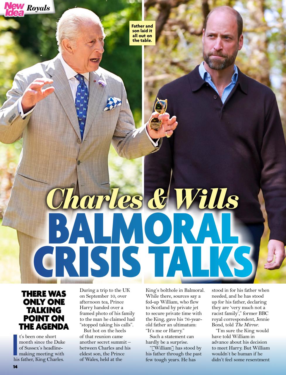 New Idea Preview Pages