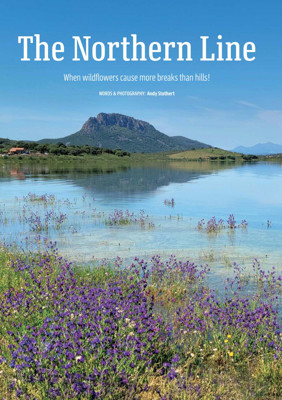 MMM magazine Preview Pages