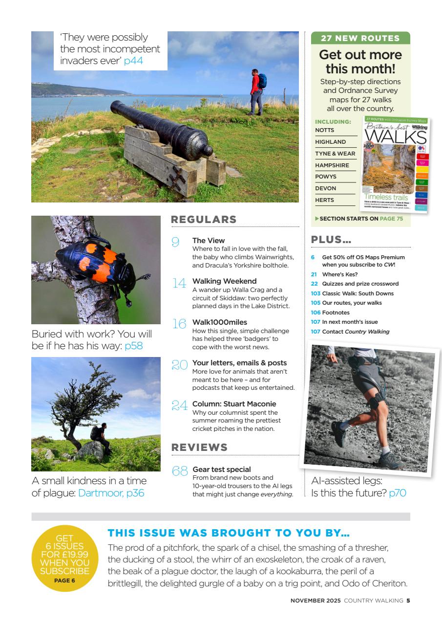 Country Walking Preview Pages