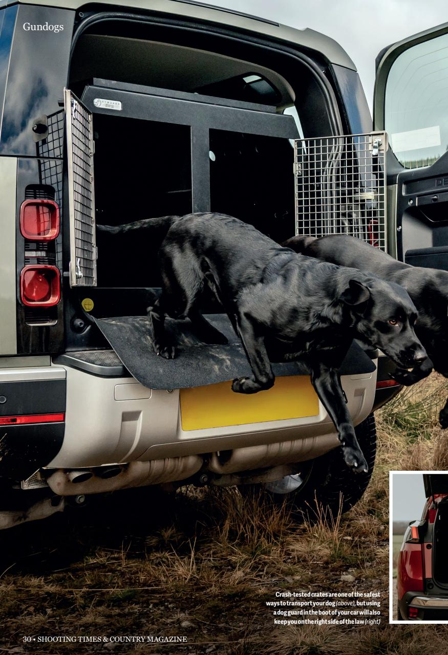 Shooting Times & Country Preview Pages