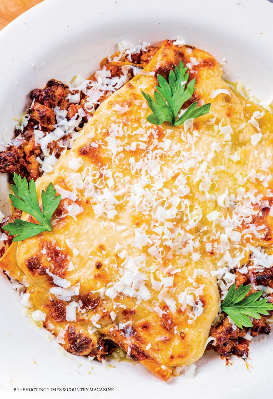 Shooting Times & Country Preview Pages