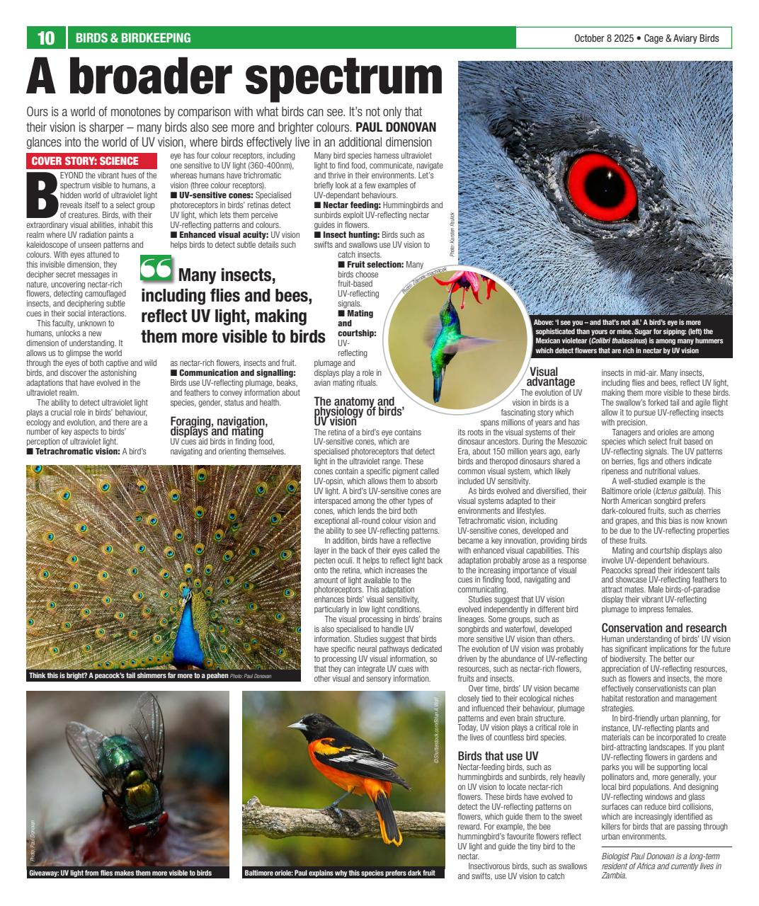 Cage & Aviary Birds Preview Pages