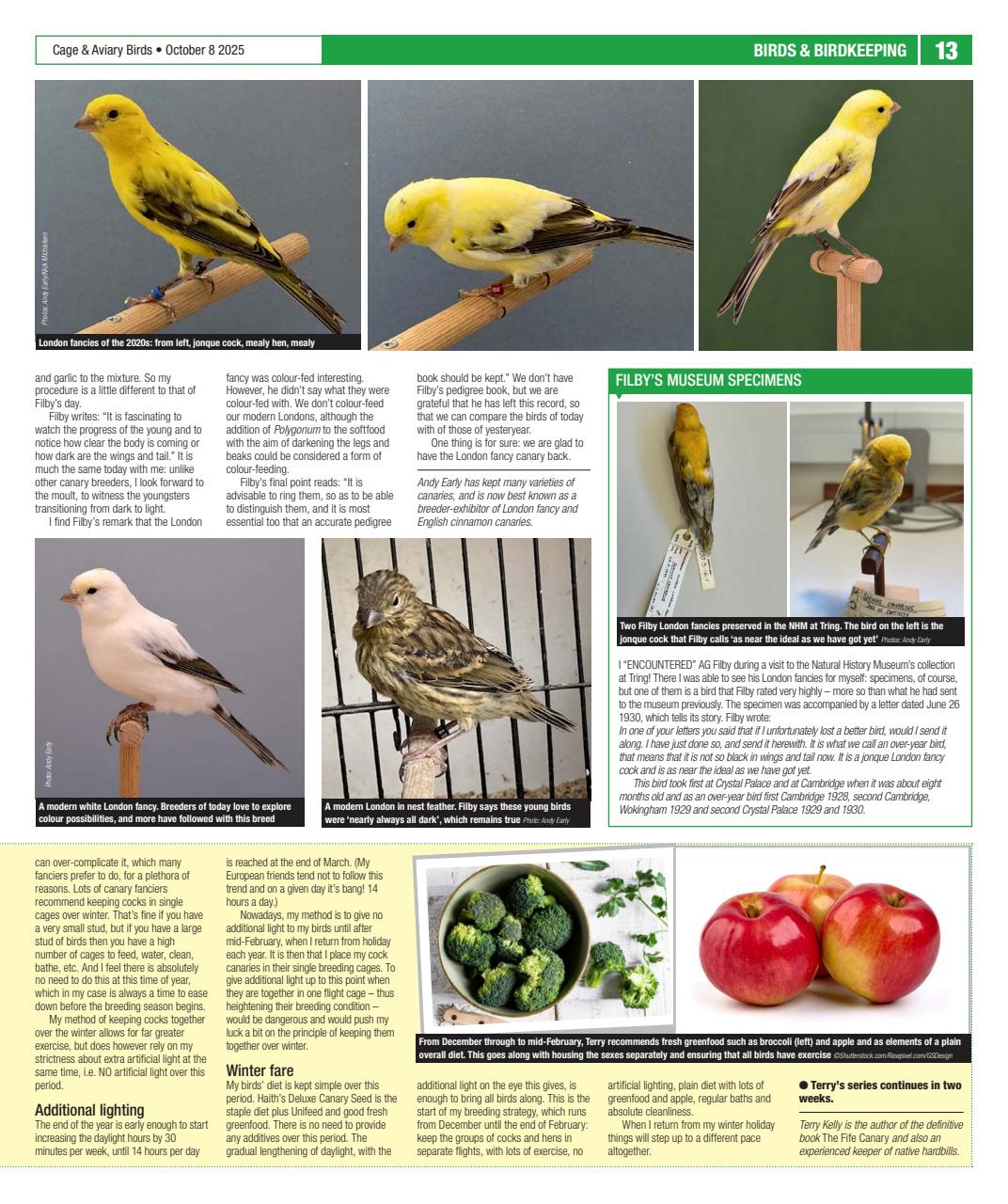 Cage & Aviary Birds Preview Pages