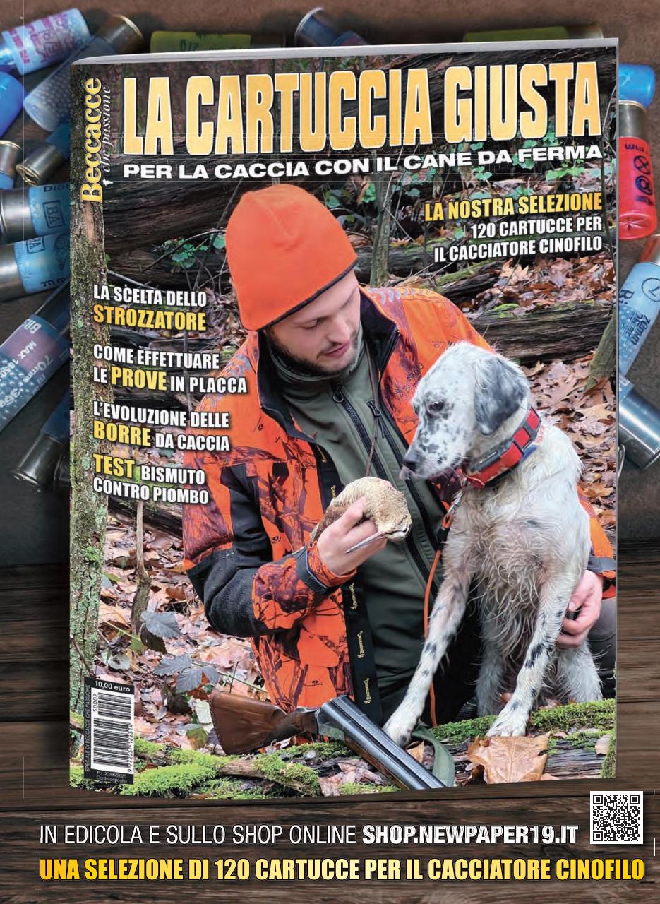 ARMI MAGAZINE Preview Pages