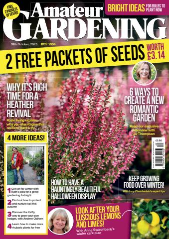 18-Oct-25 issue 18-Oct-25