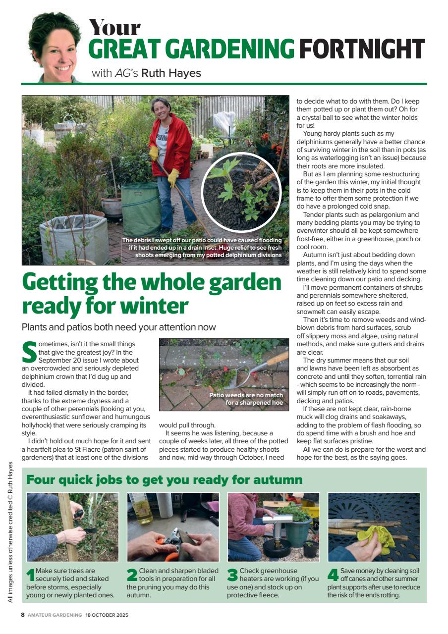 Amateur Gardening Preview Pages