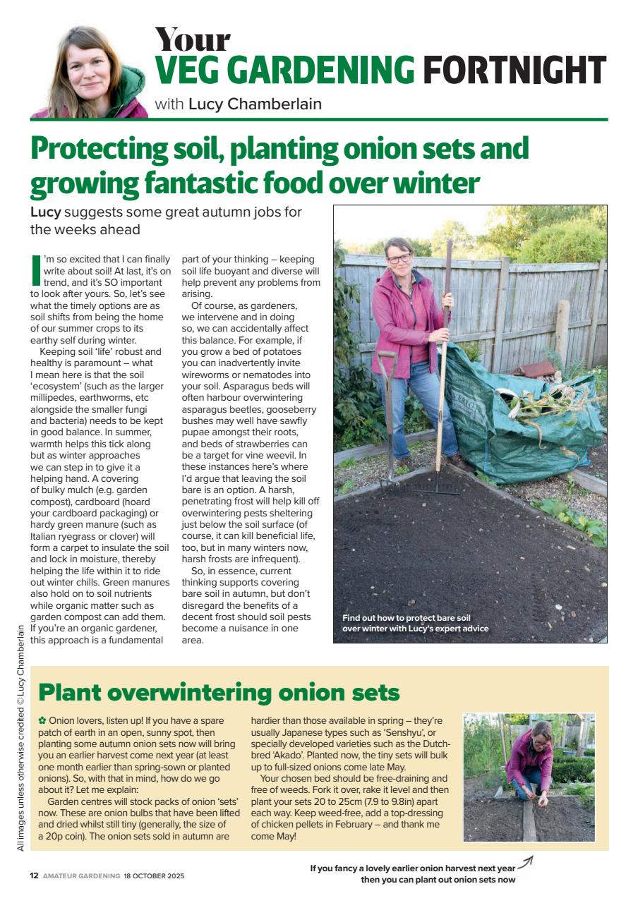 Amateur Gardening Preview Pages