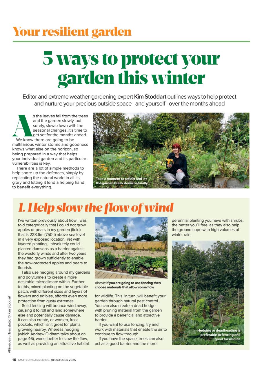 Amateur Gardening Preview Pages