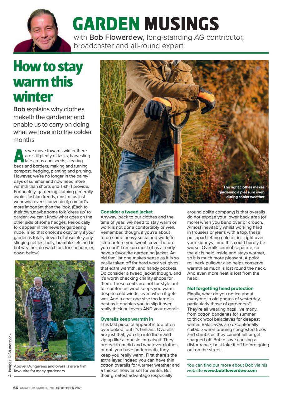 Amateur Gardening Preview Pages