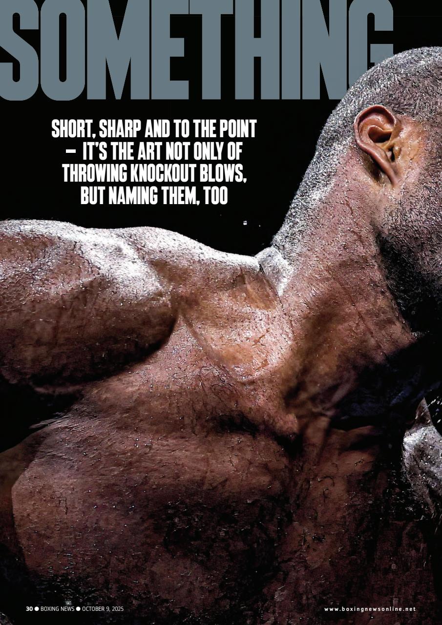 Boxing News Preview Pages