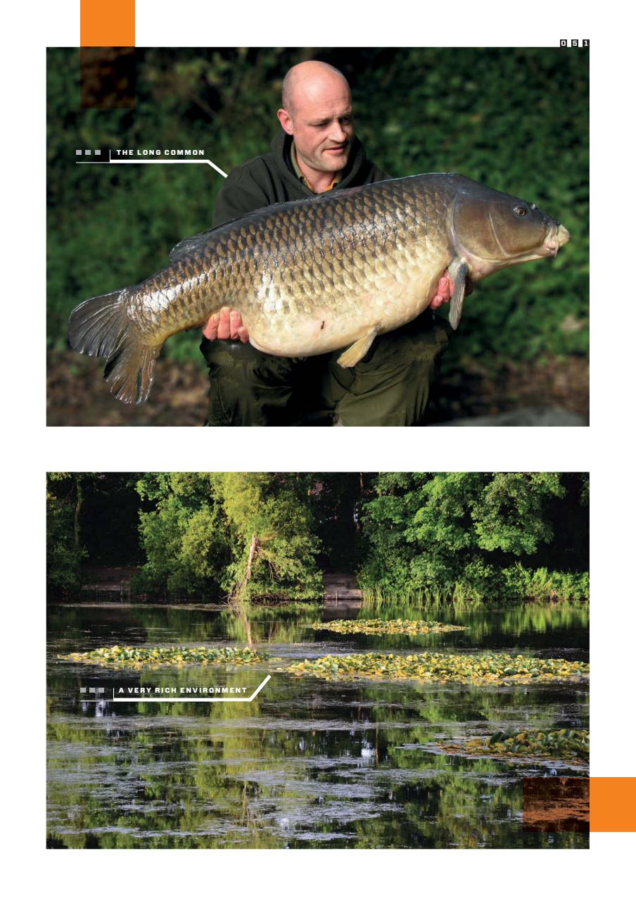 CARPology Magazine Preview Pages