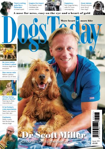 Dogs Today Magazine issue 