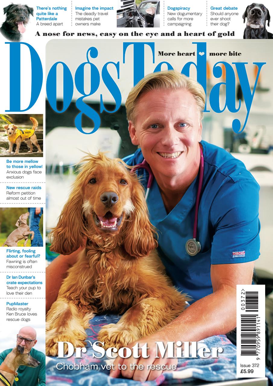 Dogs Today Magazine Preview Pages