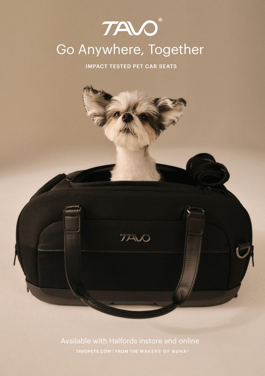 Dogs Today Magazine Preview Pages