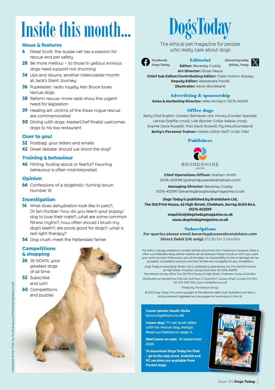 Dogs Today Magazine Preview Pages