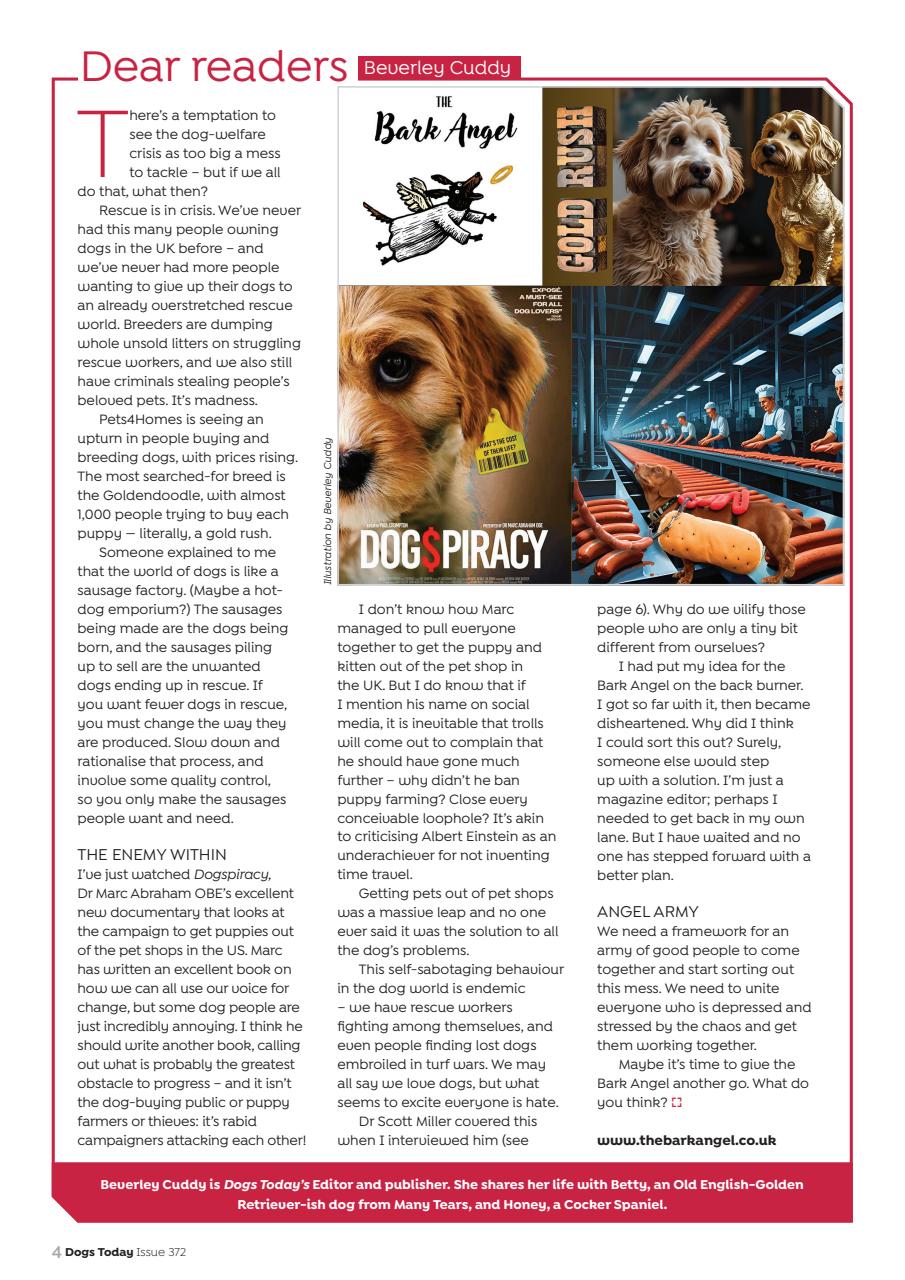 Dogs Today Magazine Preview Pages