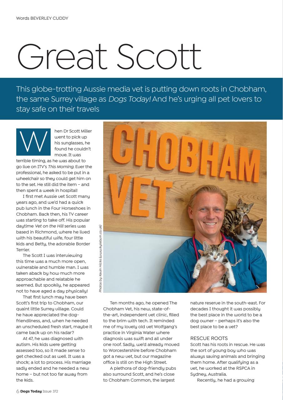 Dogs Today Magazine Preview Pages