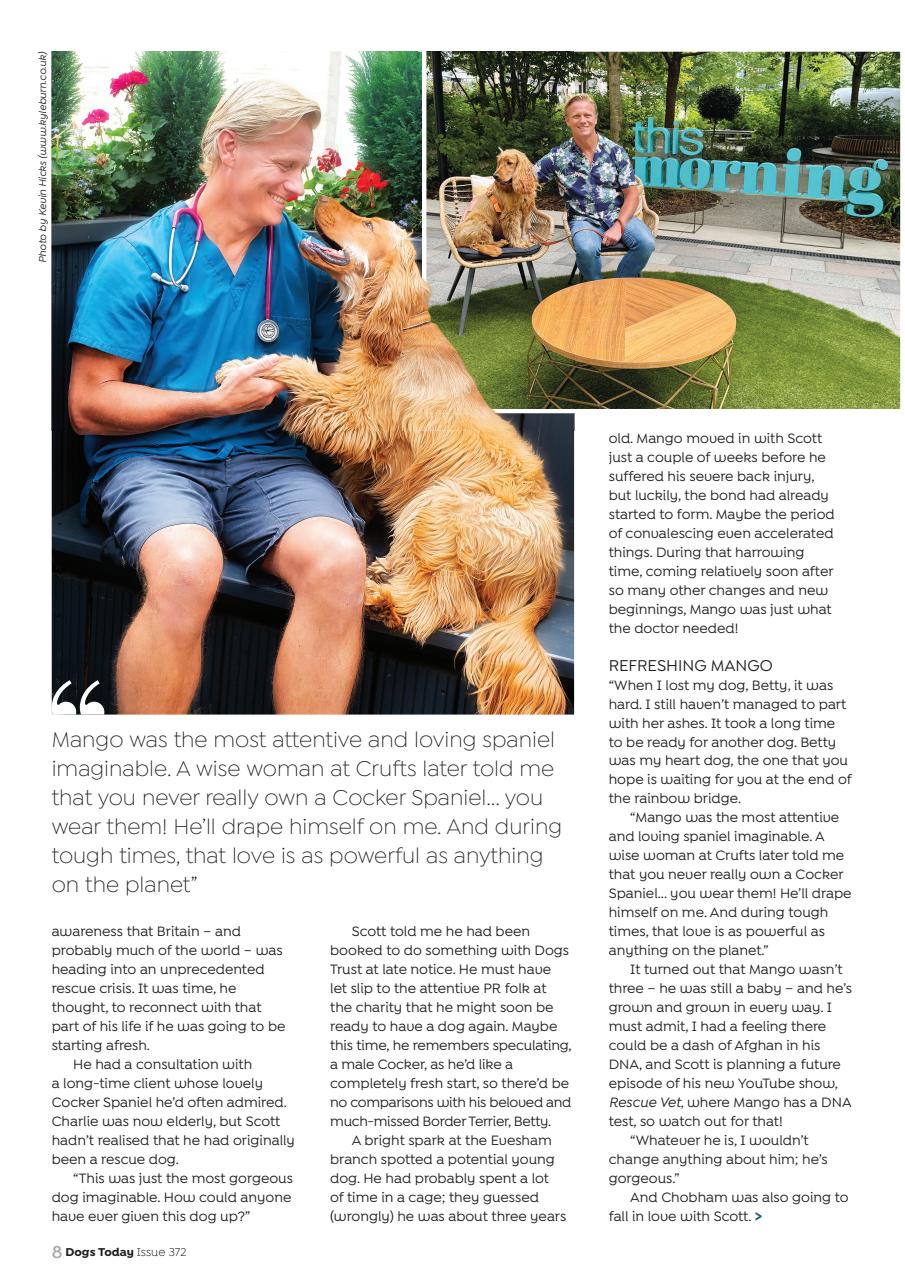 Dogs Today Magazine Preview Pages