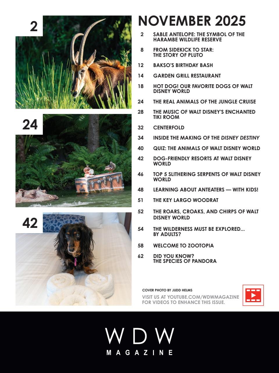 WDW Magazine Preview Pages