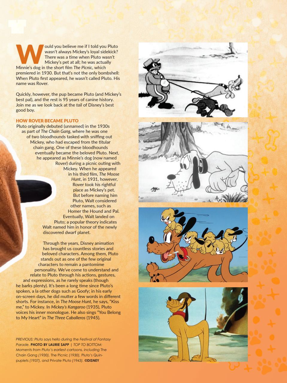 WDW Magazine Preview Pages