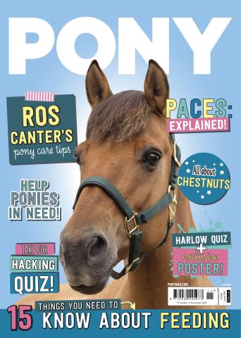 PONY Magazine – November 2025 issue PONY Magazine – November 2025