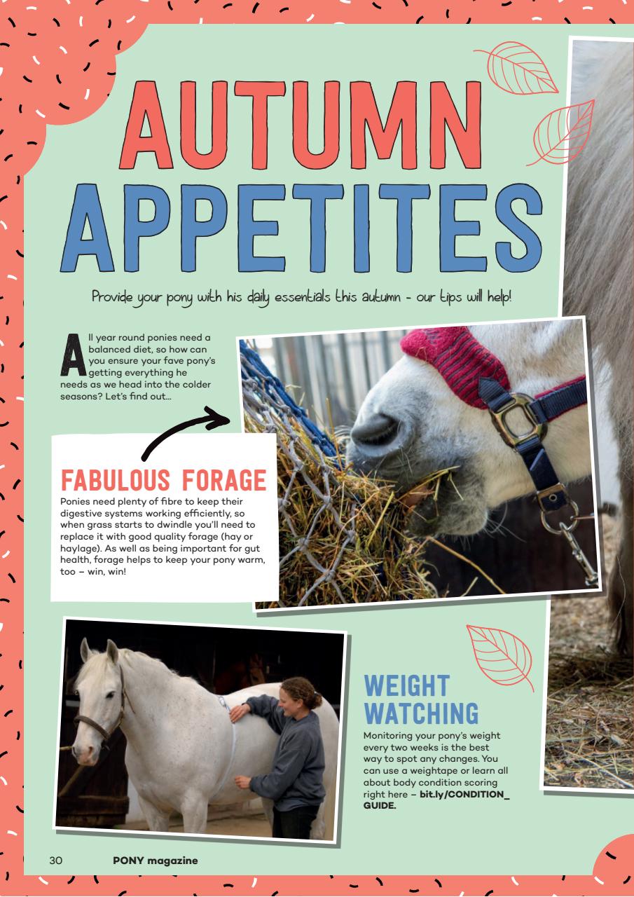 Pony Magazine Preview Pages