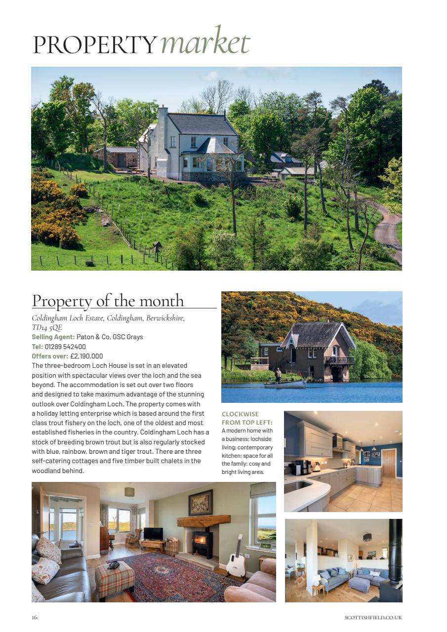 Scottish Field Preview Pages