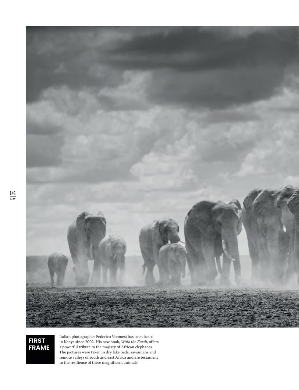 Black+White Photography Preview Pages