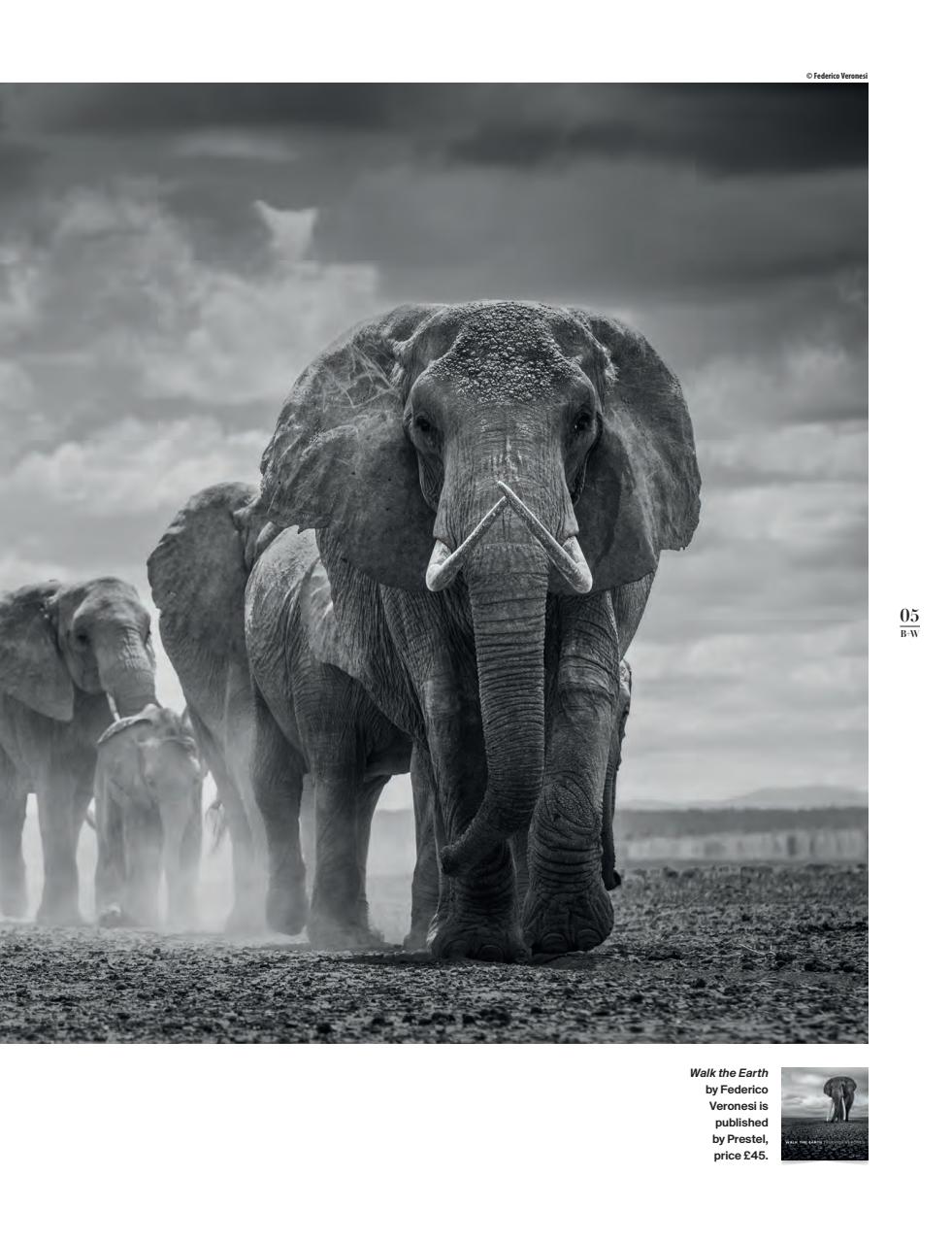 Black+White Photography Preview Pages