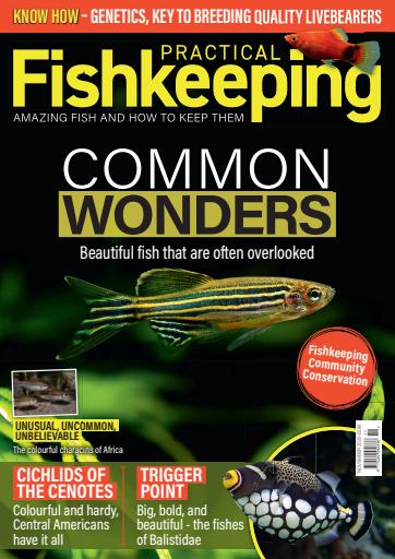 Practical Fishkeeping issue 