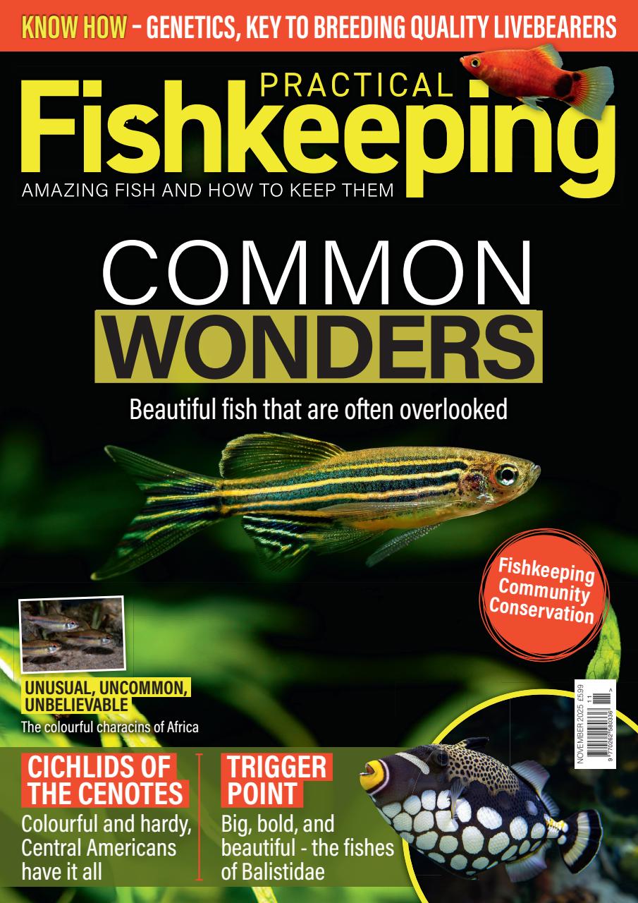 Practical Fishkeeping Preview Pages