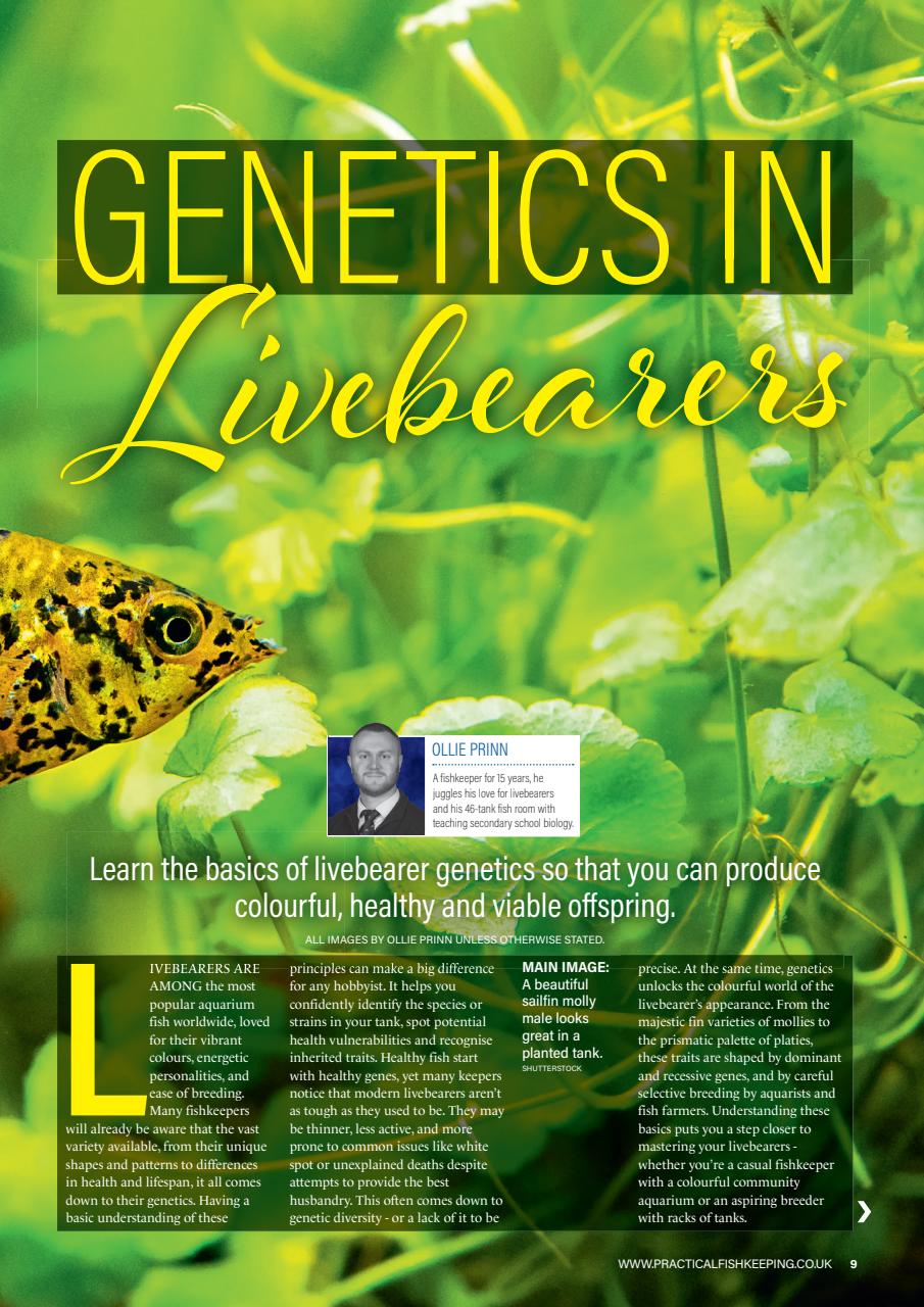 Practical Fishkeeping Preview Pages