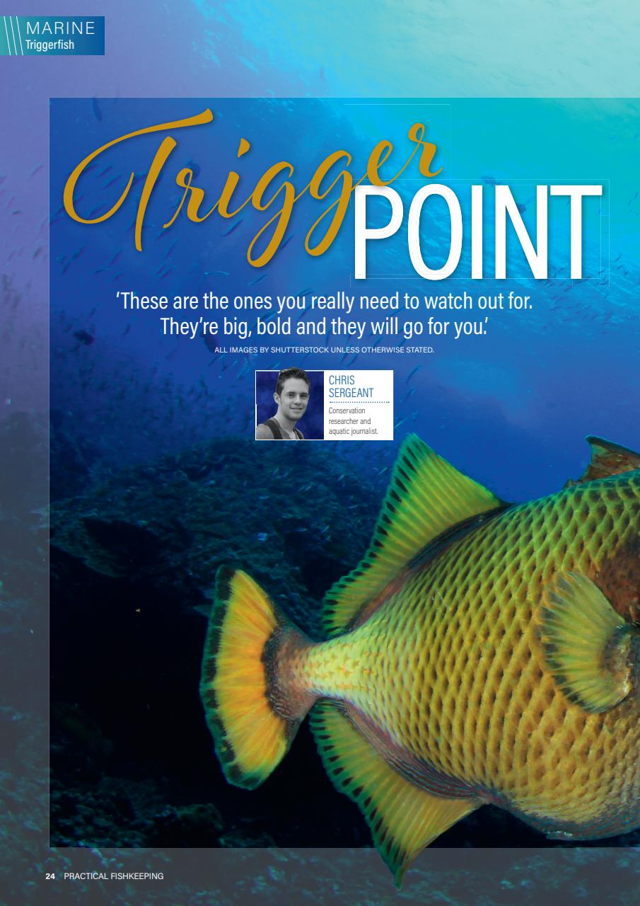 Practical Fishkeeping Preview Pages